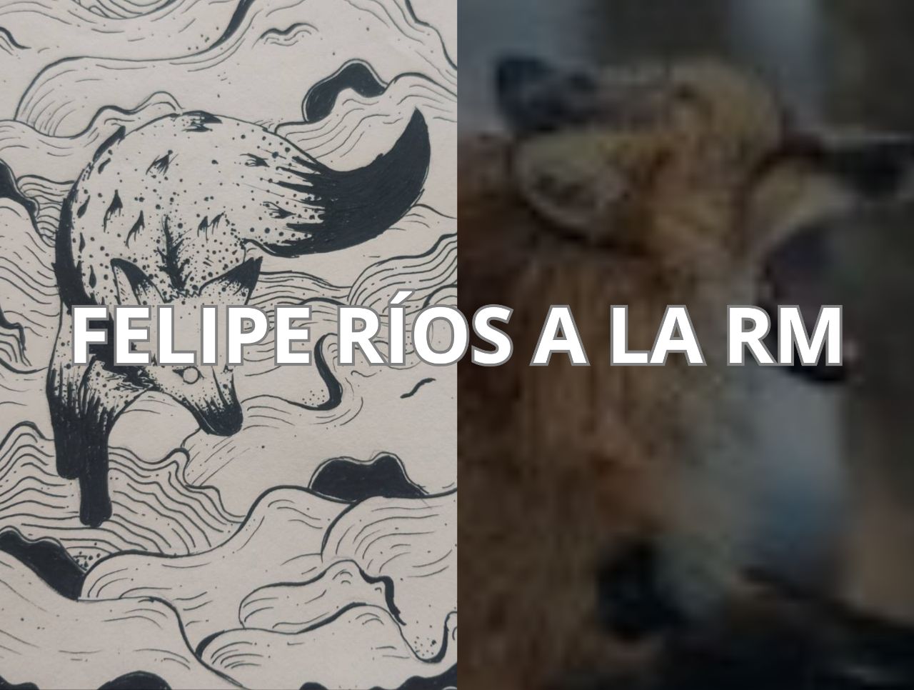 PRISIONERO ANARQUISTA FELIPE RÍOS SERÁ TRASLADADO A COLINA 1 - LA ZARZAMORA