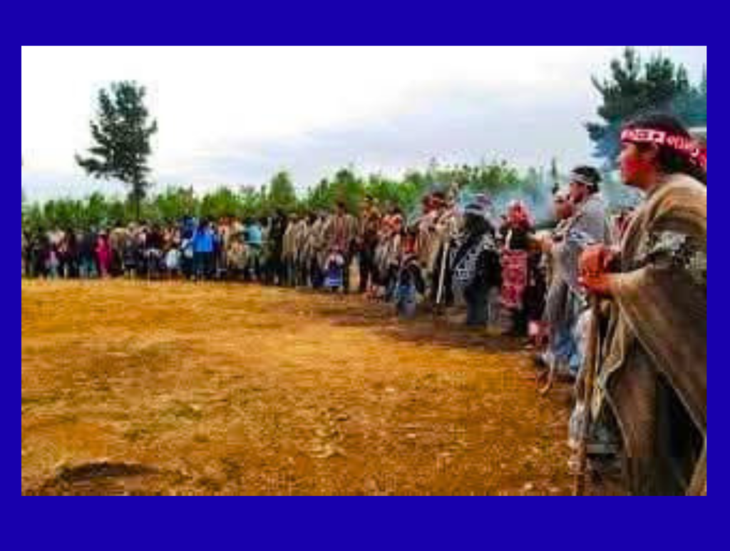 COMUNICADO COMUNIDAD AUTÓNOMA DE TEMUCUICUI FRENTE A DICHOS Y VISTA DE KAST A TERRITORIO ANCESTRAL MAPUCHE - LA ZARZAMORA