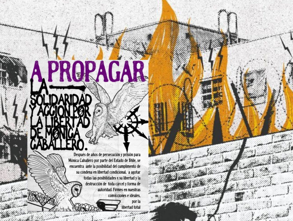 ESCUCHA: Entrevista a Mónica Caballero - LA ZARZAMORA